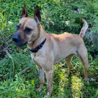 Photo of Narla