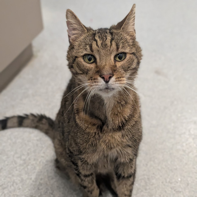 Photo of Tiberius 