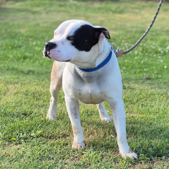 Photo of Turbo