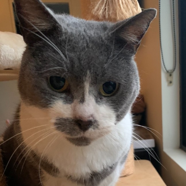 Photo of Billy