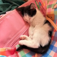 Photo of Emmy