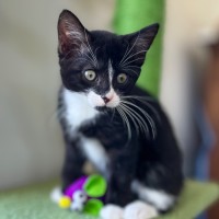 Photo of 🖤 Jimi 🖤