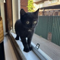 Photo of Winston