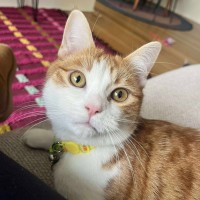 Photo of Edgar (Egg 🥚) 