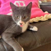 Photo of Dot & Dennis