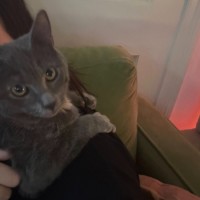 Photo of Chloe