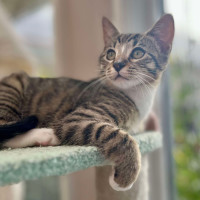 Photo of ❤️ Marlee ❤️