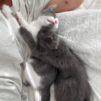 Photo of Magnus And Atlas