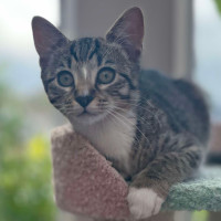 Photo of ❤️ Marlee ❤️