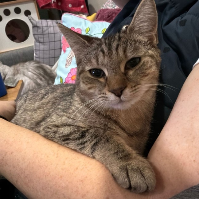 Photo of Daisy