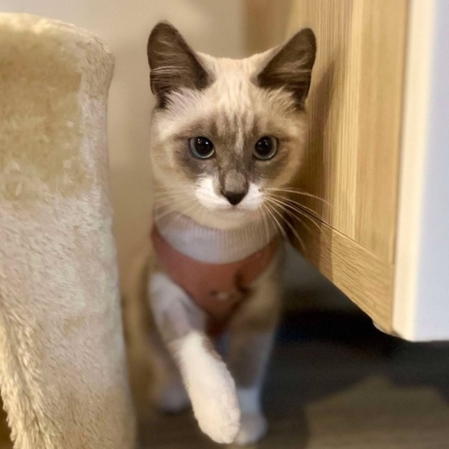 Photo of 💖 Evie 💖