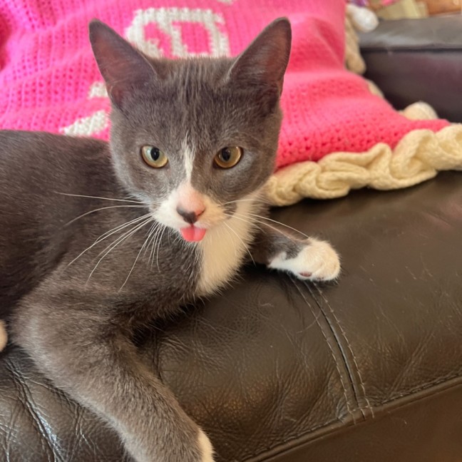 Photo of Dot & Dennis