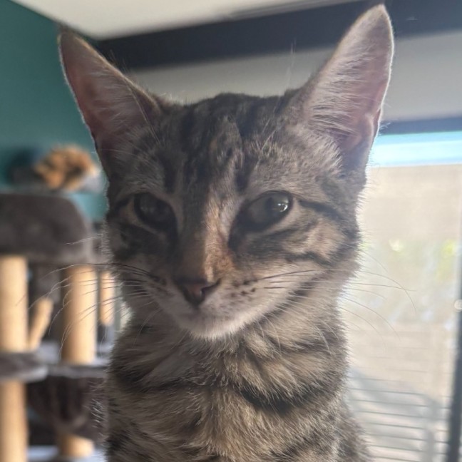 Photo of Lucy