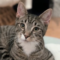 Photo of Chad
