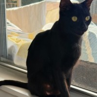 Photo of Coco