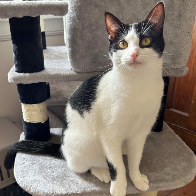 Photo of Eddie & Akira