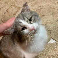 Photo of Maxwell