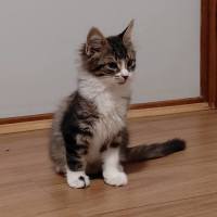 Photo of Theo