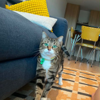 Photo of Fizz