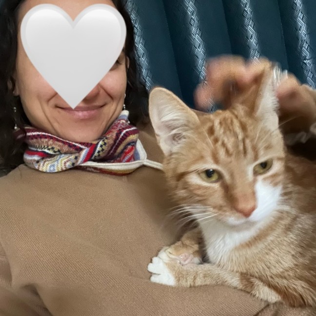 Photo of Goose