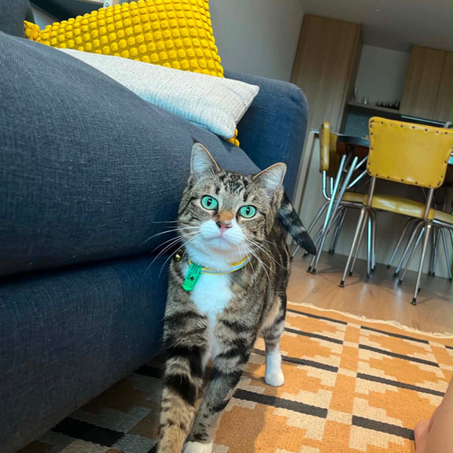 Photo of Fizz