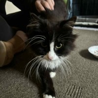 Photo of Doc