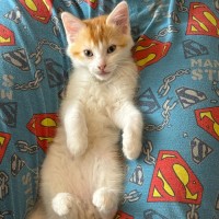 Photo of Kalli And Carlos 