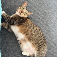 Photo of Myrtle