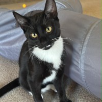 Photo of Arlo