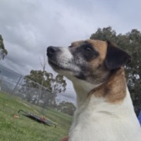 Photo of Skittles