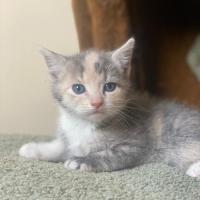 Photo of Jelly