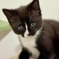 Photo of Peppermint Patty