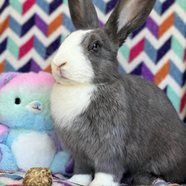 Photo of Masiy (Located In Wantirna South)