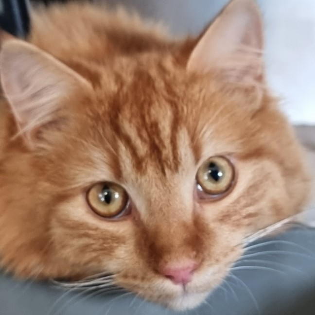 Photo of Stuart