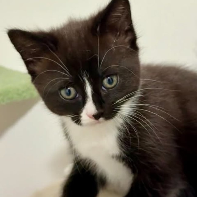 Photo of Peppermint Patty