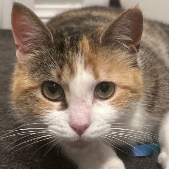 Photo of Zena ⚔️ 