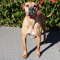 Photo of Sienna