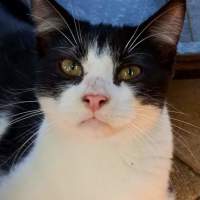 Photo of Rocket 