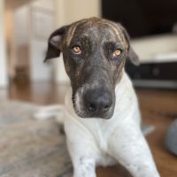 Photo of 💗 Sally 💗