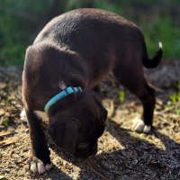 Photo of Twix