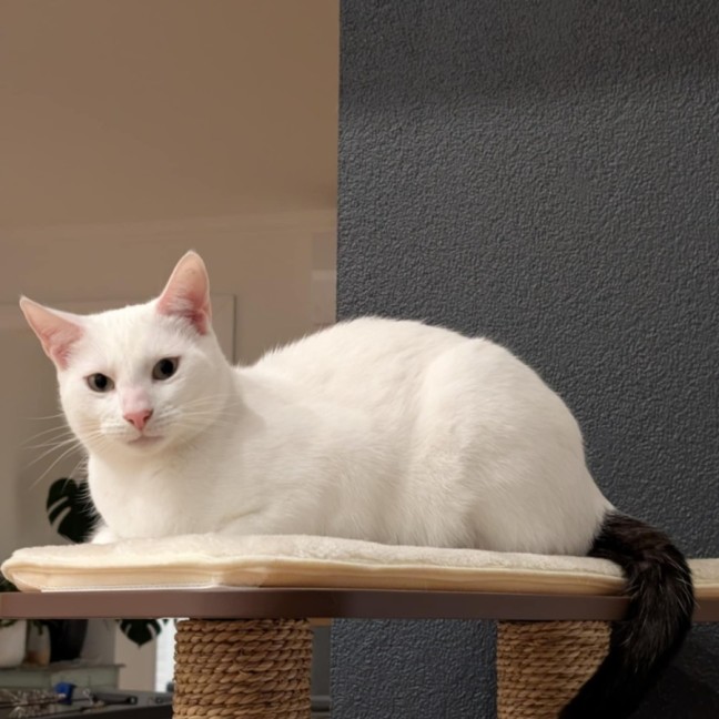 Photo of Ferdi 💙💙