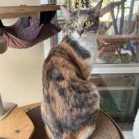 Photo of Luna