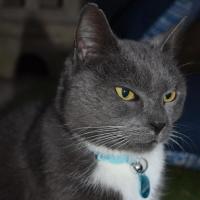 Photo of Sylvie