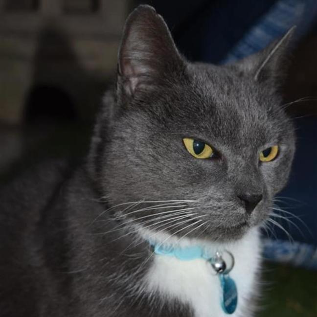 Photo of Sylvie