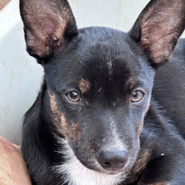 Photo of Slider
