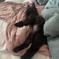 Photo of Jam