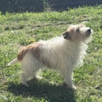 Photo of Jackie