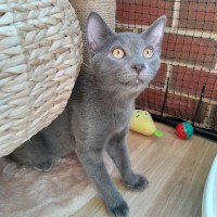 Photo of Blu