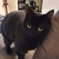 Photo of Jinx