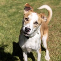 Photo of Gunnar